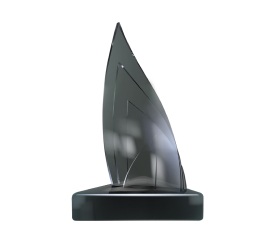 Diversity and Inclusion Award at the 8th Sustainable Business Awards 